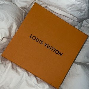 Louis Vuitton Box Medium Sz